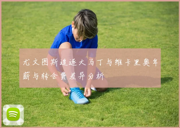 尤文图斯追逐大马丁与维卡里奥年薪与转会费差异分析