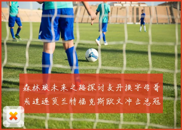 森林狼未来之路探讨麦丹换字母哥或追逐莫兰特福克斯欧文冲击总冠军