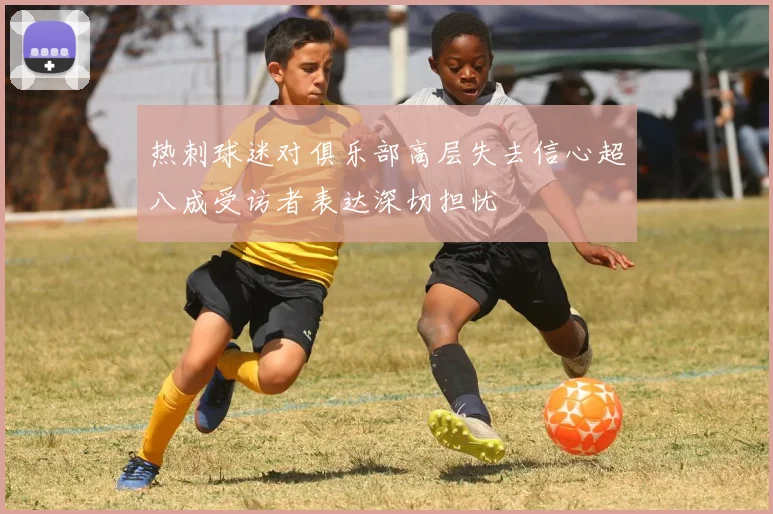 热刺球迷对俱乐部高层失去信心超八成受访者表达深切担忧